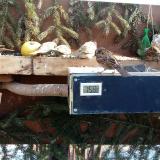 photo 2021-02-13 10-45-51