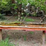 photo 2021-04-28 13-53-11