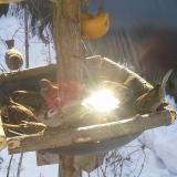 photo 2019-01-27 10-10-09