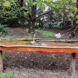 photo 2021-04-19 07-43-32