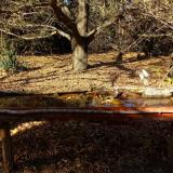 photo 2021-10-25 14-34-05