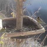 photo 2019-12-31 10-48-11