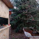 photo 2022-01-01 07-40-32