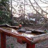 photo 2022-03-25 05-36-54