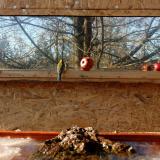 photo 2022-01-15 13-16-03