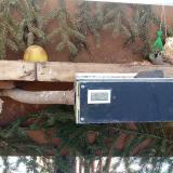 photo 2021-02-12 10-36-55