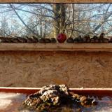 photo 2022-01-15 14-17-07