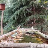 photo 2023-10-08 12-23-30