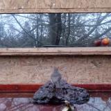 photo 2022-01-30 07-03-33