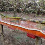 photo 2021-04-01 17-45-24