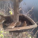 photo 2019-12-25 13-27-28