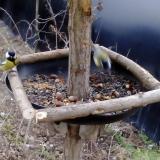 photo 2019-01-03 08-42-44