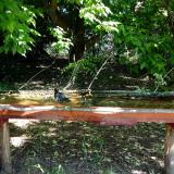 photo 2021-05-21 09-12-08