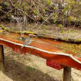 photo 2021-04-06 12-50-14