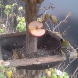 photo 2019-12-05 13-11-43