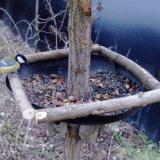 photo 2019-01-03 07-38-47