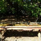 photo 2021-10-03 13-52-01