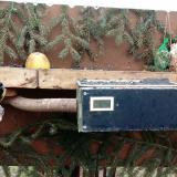 photo 2021-02-10 13-22-50