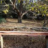 photo 2021-10-21 09-09-11