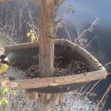 photo 2019-12-29 13-26-32