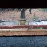 photo 2021-11-28 15-18-15