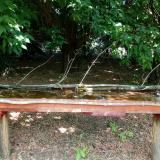 photo 2021-07-05 11-43-34