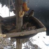 photo 2019-02-01 07-38-45