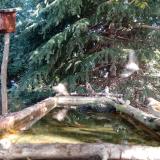 photo 2023-10-12 10-12-25