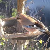 photo 2019-12-17 14-20-03