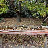 photo 2021-10-13 14-58-24