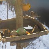 photo 2019-01-27 09-12-41