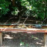 photo 2021-07-22 09-49-58