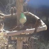 photo 2019-02-12 09-41-57