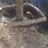 photo 2019-02-20 10-15-36