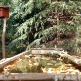 photo 2023-10-17 13-33-03