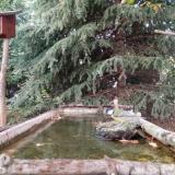 photo 2023-10-13 17-21-58