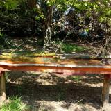 photo 2021-04-24 12-20-35