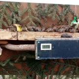 photo 2021-02-03 13-35-03