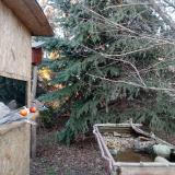 photo 2021-12-17 15-13-28