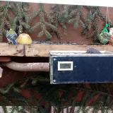 photo 2021-02-07 10-26-32