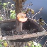 photo 2019-12-05 13-48-10