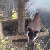 photo 2019-12-22 11-41-46