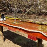 photo 2021-03-31 13-53-14