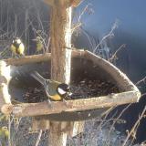 photo 2019-12-31 14-13-40