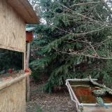 photo 2022-01-06 10-41-24