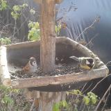 photo 2019-12-15 10-35-41