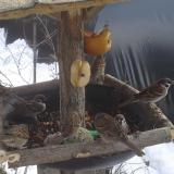 photo 2019-01-29 12-55-37