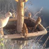 photo 2019-12-31 15-24-51