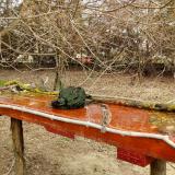 photo 2021-03-23 11-29-14