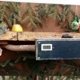 photo 2021-02-03 12-35-50